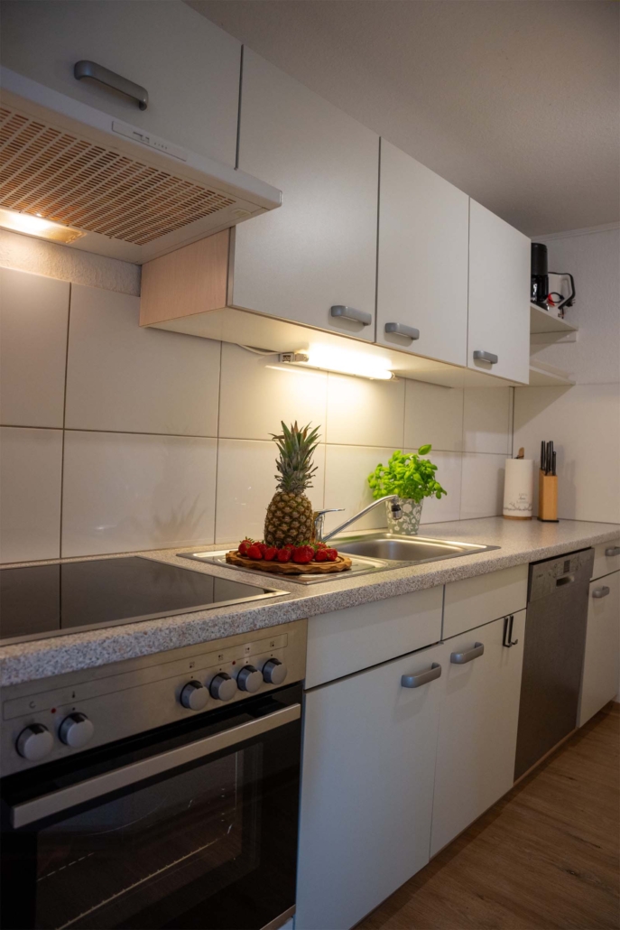 Ferienhof Kruse Wohnung 10 Küche