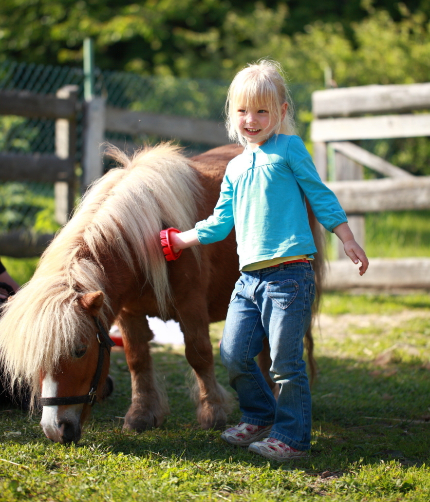 Pony striegeln